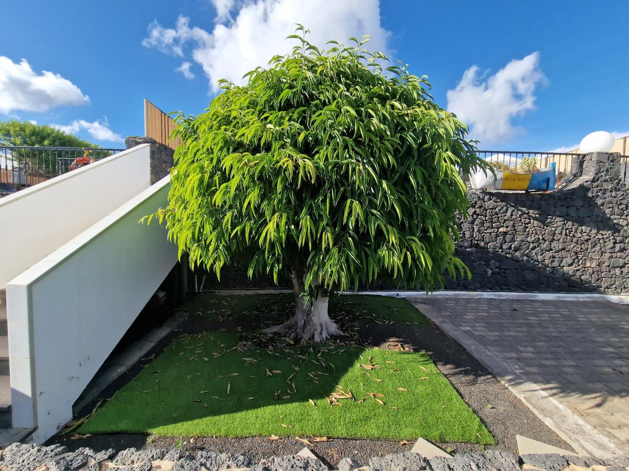 Villa Juanita, Puerto Del Carmen, Lanzarote Тиас Экстерьер фото